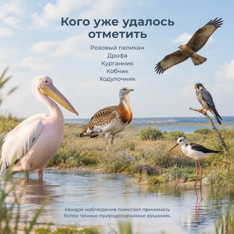 От первых обследований — к будущим особо охраняемым территориям От первых обследований — к будущим особо охраняемым территориям