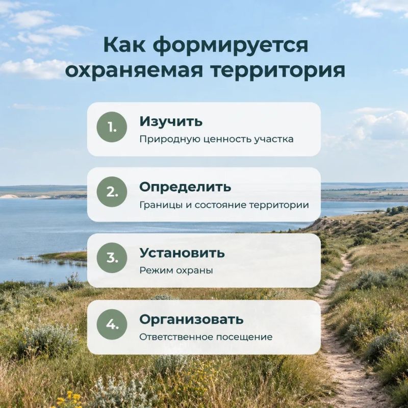 Как создаётся будущая система охраны природы Как создаётся будущая система охраны природы