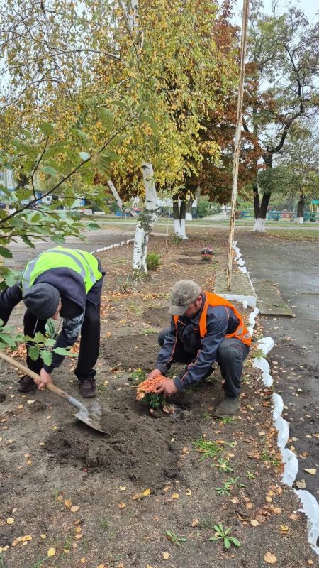 Хороший пример прорастает. Начали с новой площади на улице Центральной в Геническе, где высадили больше 50 шарообразных хризантем Хороший пример прорастает. Начали с новой площади на улице Центральной в Геническе, где высадили больше 50 шарообразных хризантем