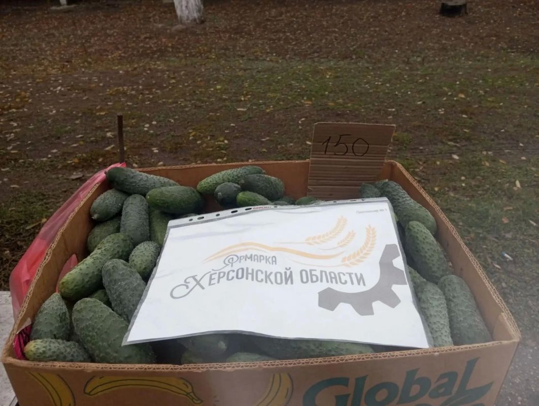 Сельскохозяйственная ярмарка в Геническом округе: традиции, доступность и поддержка местных производителей
