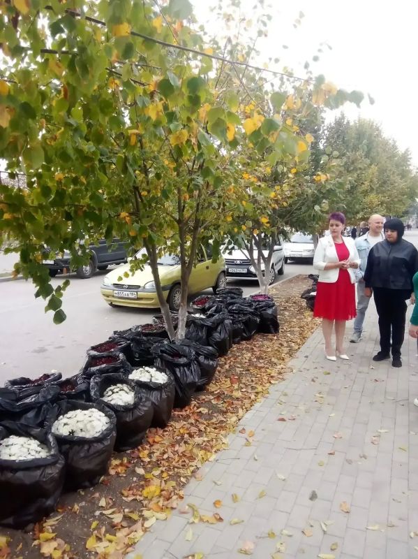 Хороший пример прорастает. Начали с новой площади на улице Центральной в Геническе, где высадили больше 50 шарообразных хризантем Хороший пример прорастает. Начали с новой площади на улице Центральной в Геническе, где высадили больше 50 шарообразных хризантем