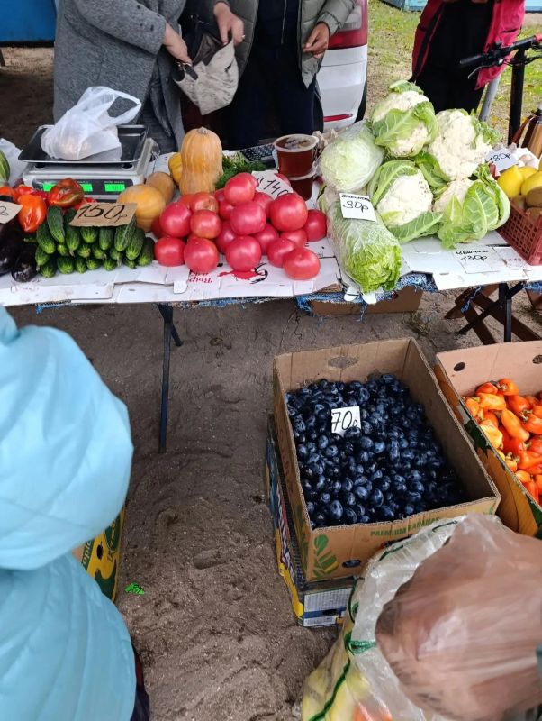 Ярмарка в Стрелковом: вкус, польза и хорошее настроение Ярмарка в Стрелковом: вкус, польза и хорошее настроение