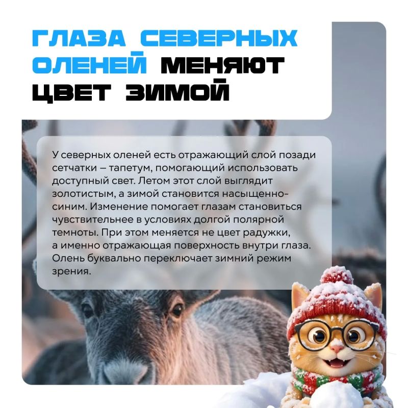 Природа явно не читала учебники по биологии! Природа явно не читала учебники по биологии!