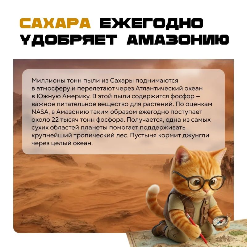 Природа явно не читала учебники по биологии! Природа явно не читала учебники по биологии!