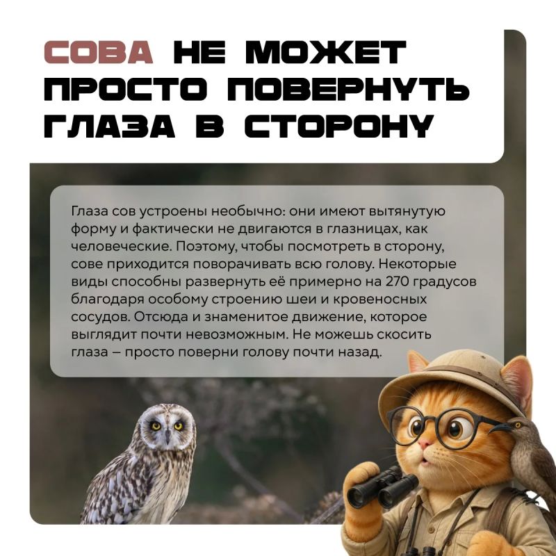 Природа явно не читала учебники по биологии! Природа явно не читала учебники по биологии!