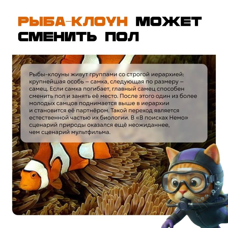 Природа явно не читала учебники по биологии!