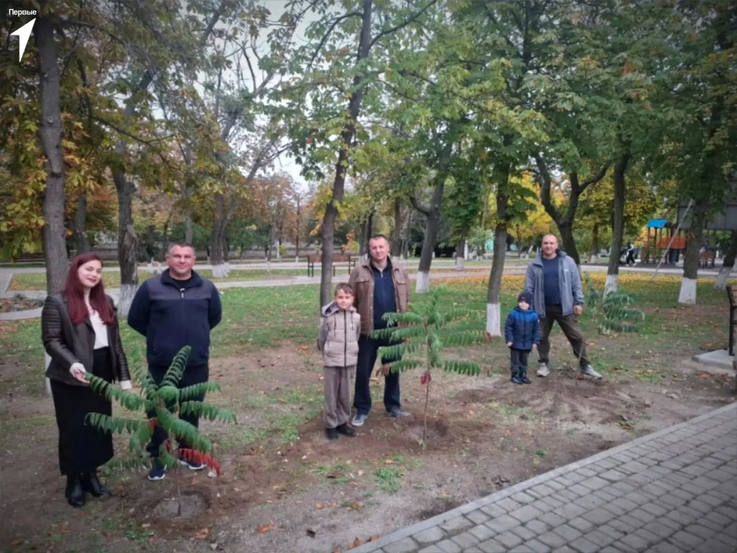 Аллея, которую Первые посадили вместе с папами и дедушками Аллея, которую Первые посадили вместе с папами и дедушками