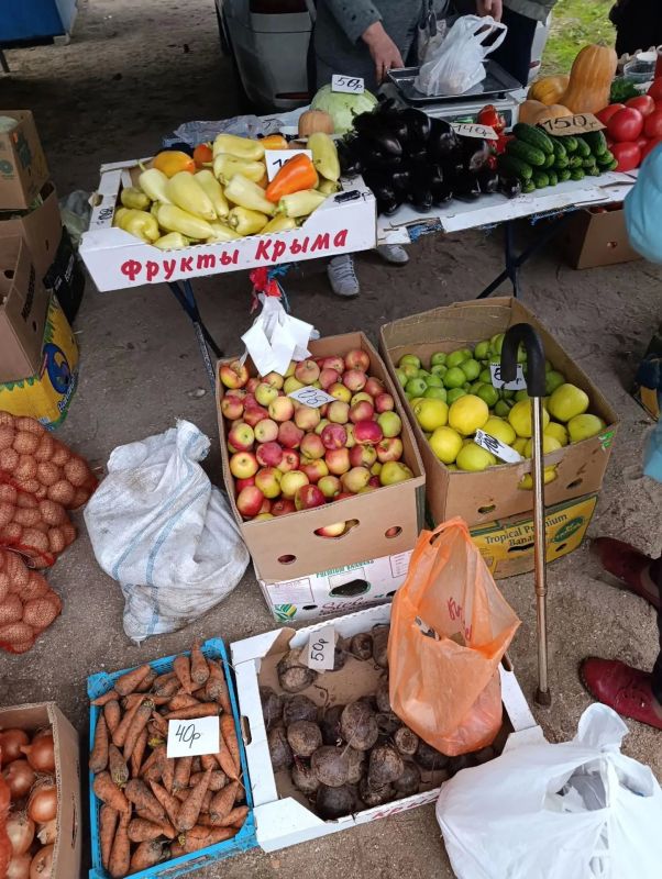 Ярмарка в Стрелковом: вкус, польза и хорошее настроение Ярмарка в Стрелковом: вкус, польза и хорошее настроение
