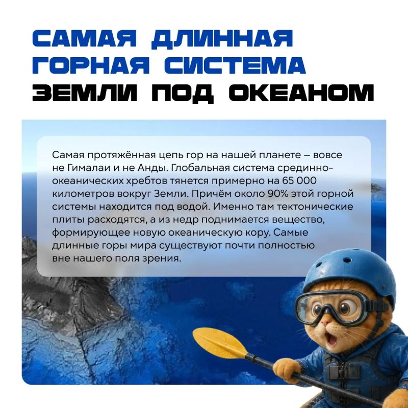 Природа явно не читала учебники по биологии! Природа явно не читала учебники по биологии!