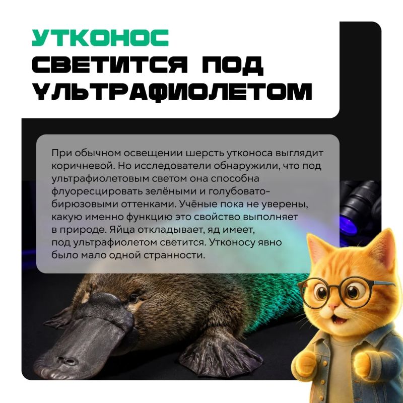 Природа явно не читала учебники по биологии! Природа явно не читала учебники по биологии!