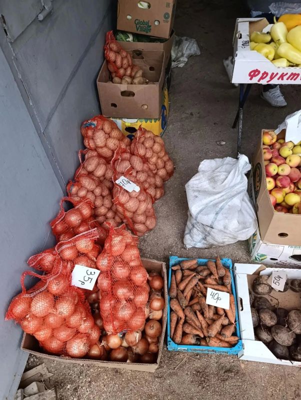 Вайб сельской ярмарки в Стрелковом: чем закупились местные?
