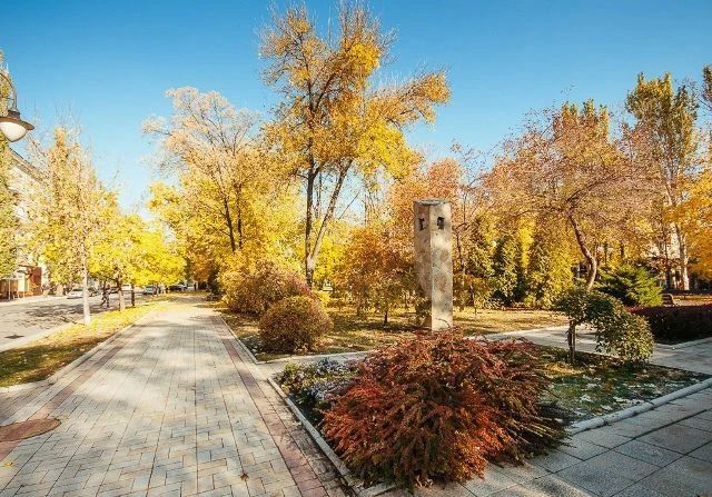 Доброе утро, Херсонщина!. Ель рукавом мне тропинку завесила