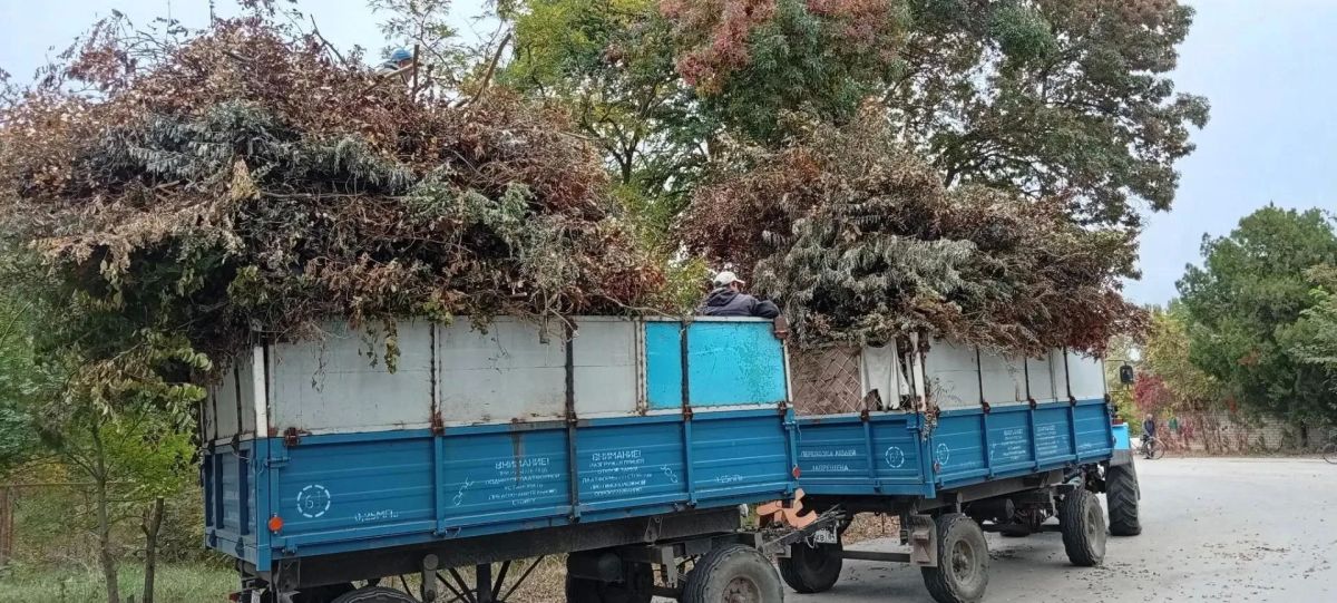 В Скадовске навели порядок на улице Набережной В Скадовске навели порядок на улице Набережной