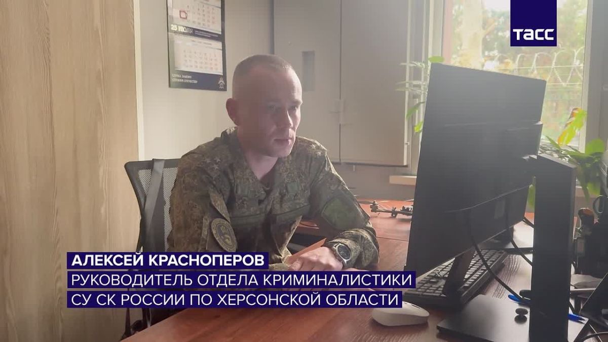 325 погибших и более 1,3 тысячи раненых: в СК назвали число жертв атак на Херсонщину