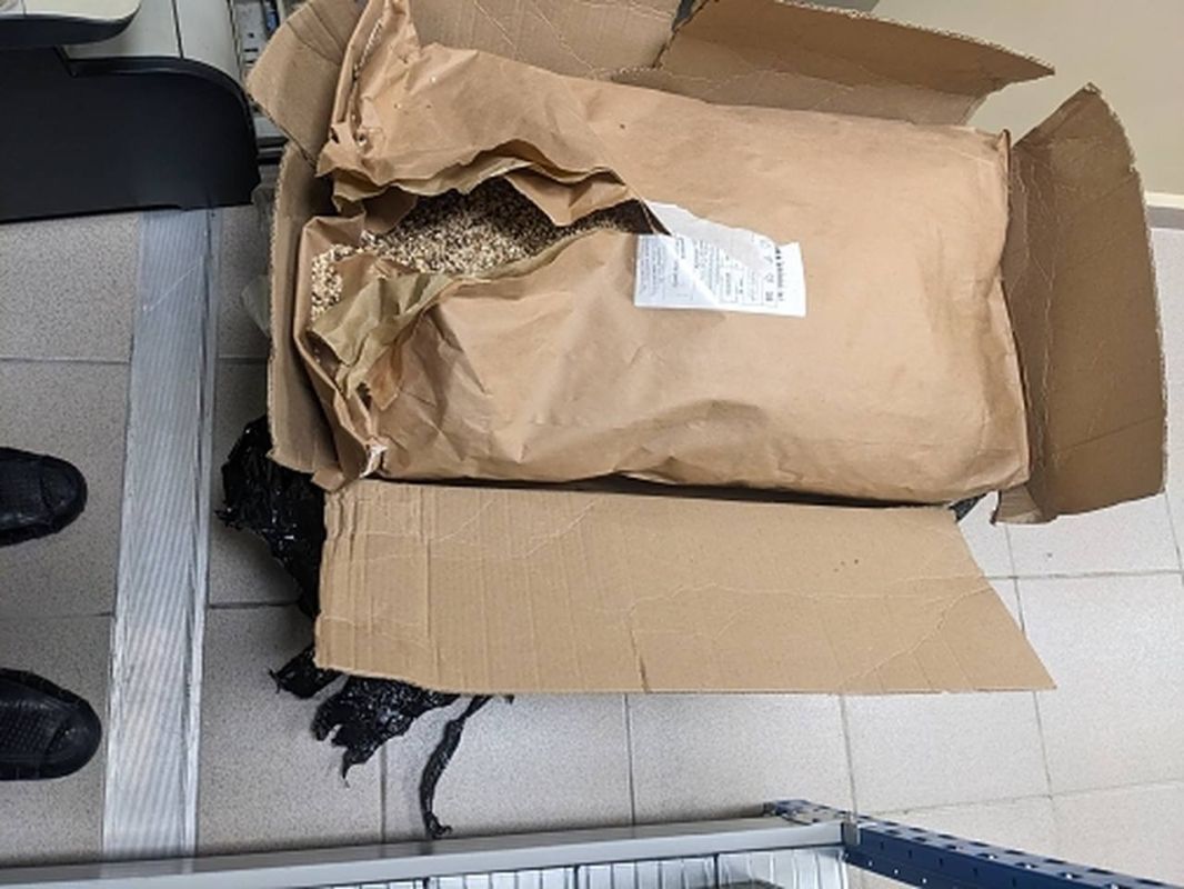 В аэропорту Домодедово у иностранца, вылетавшего в Узбекистан, обнаружили 31 кг радиоактивных сушеных белых грибов, сообщили в ФТС В аэропорту Домодедово у иностранца, вылетавшего в Узбекистан, обнаружили 31 кг радиоактивных сушеных белых грибов, сообщили в ФТС