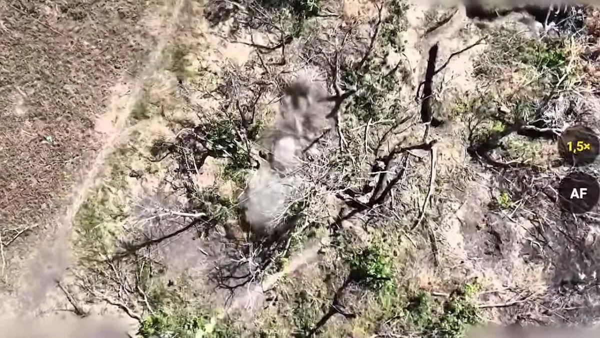 Владимир Сальдо: Штурмовики группировки войск «Днепр» взяли три опорных пункта ВСУ