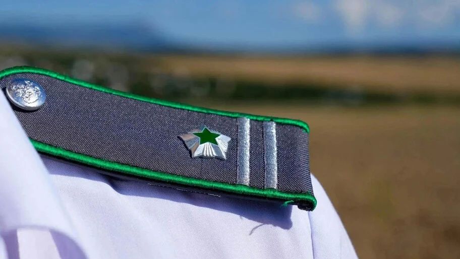 В Херсонской области Россельхознадзор выявил нарушения при продаже семян