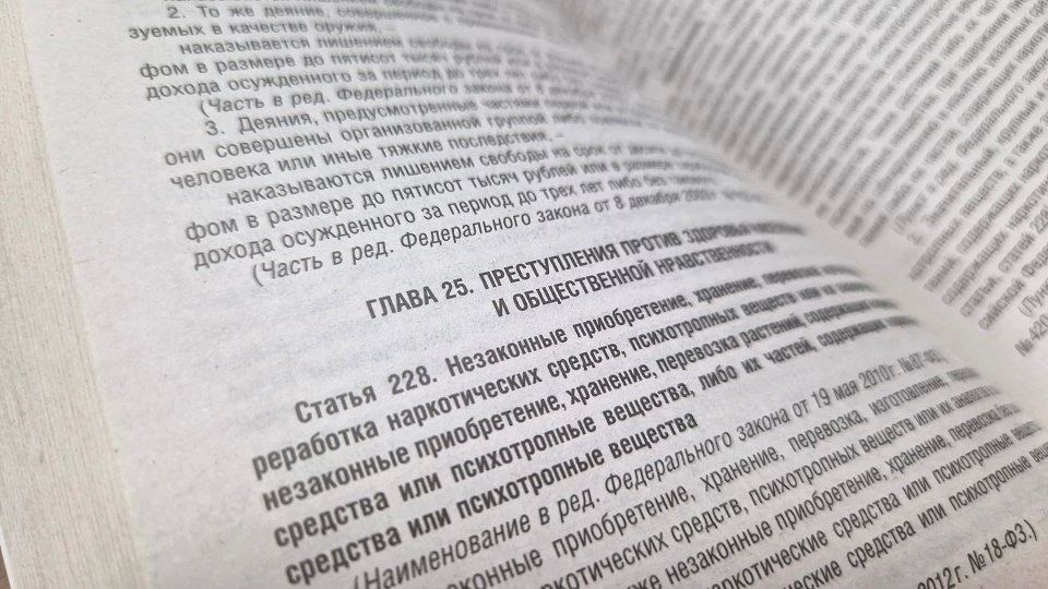 Житель Донецкой Народной Республики признан судом виновным в незаконном обороте наркотических веществ