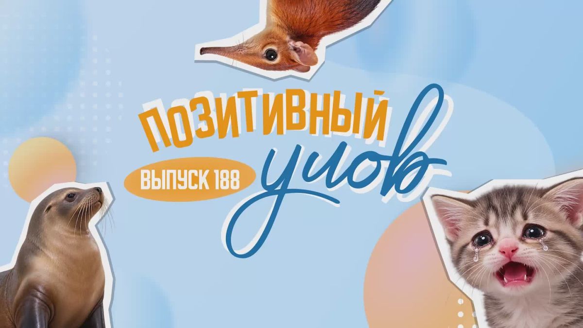 "Позитивный улов" — дайджест удивительных новостей со всего мира