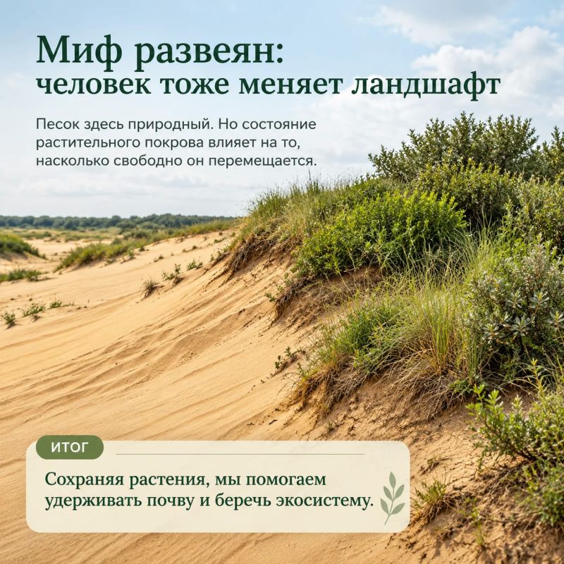 Эко-миф: Алешковские пески всегда были пустыней Эко-миф: Алешковские пески всегда были пустыней