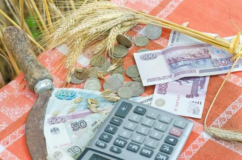 Энвер Абдураимов: В Херсонской области продлили приём заявок на субсидии для сельхозпроизводителей