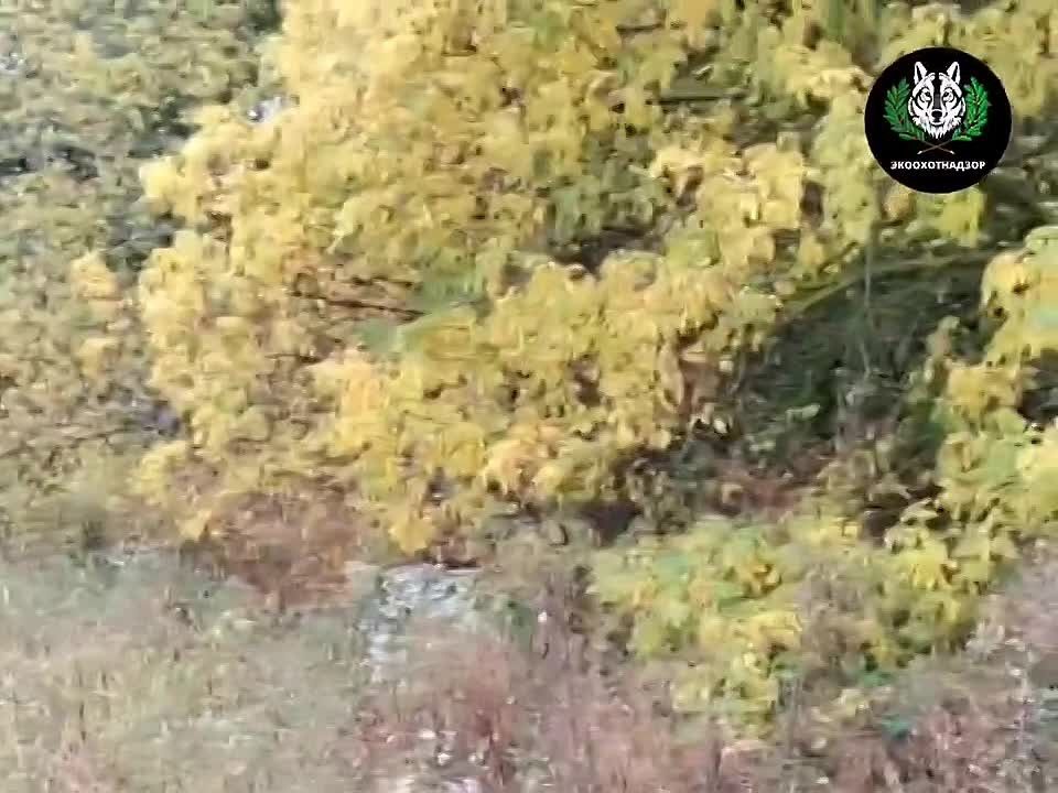 Подборка интересных новостей из регионов к этому часу