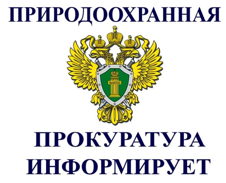 После вмешательства прокуратуры устранены нарушения трудового законодательства и в сфере обращения с водными биологическими ресурсами