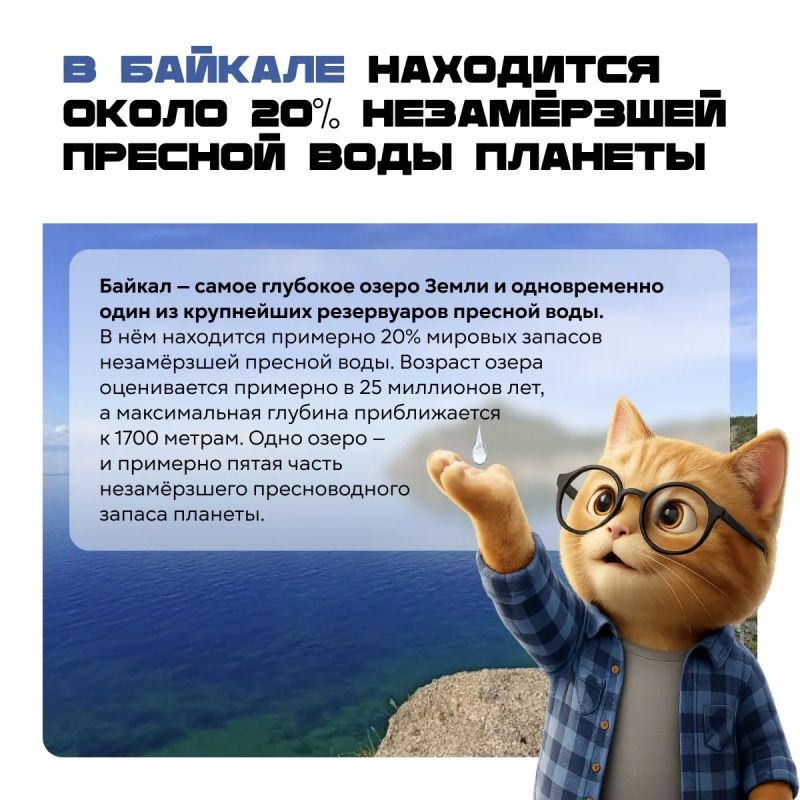 Акула, которая живёт 500 лет, жук с химической пушкой и шторм размером с две Земли Акула, которая живёт 500 лет, жук с химической пушкой и шторм размером с две Земли