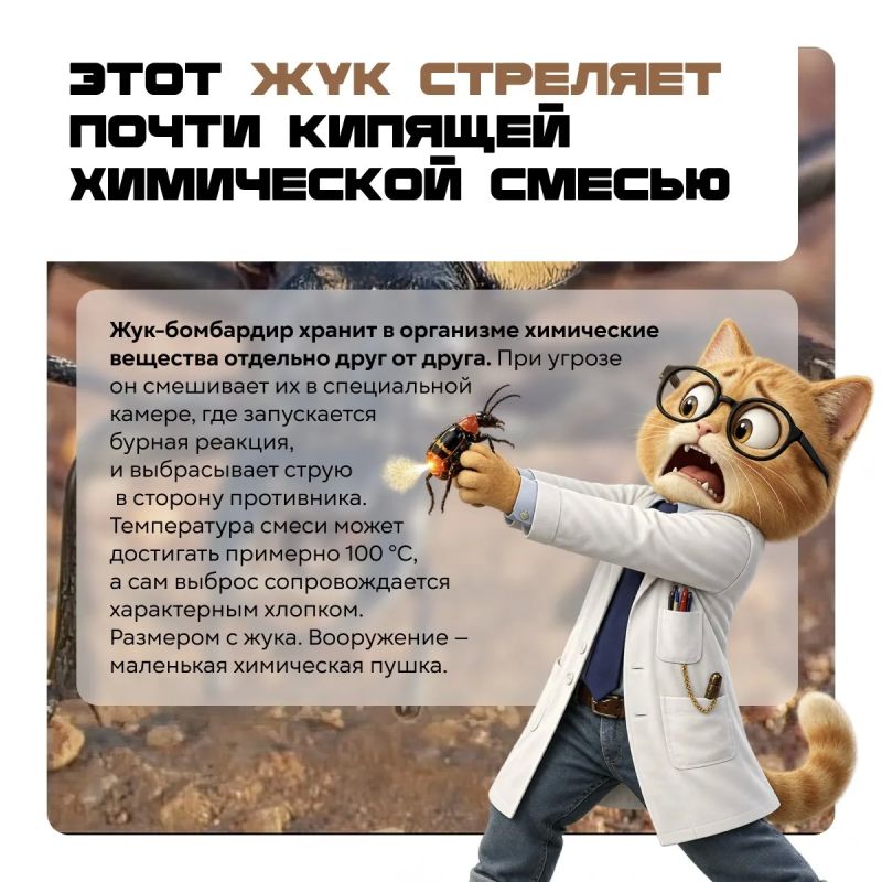 Акула, которая живёт 500 лет, жук с химической пушкой и шторм размером с две Земли Акула, которая живёт 500 лет, жук с химической пушкой и шторм размером с две Земли