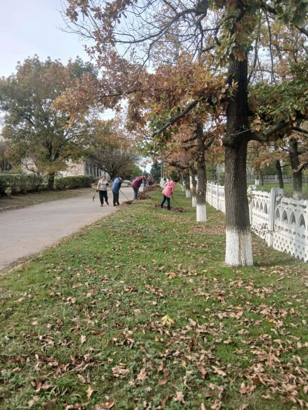 Общепоселковый субботник прошел в Верхнерогачикском муниципальном округе