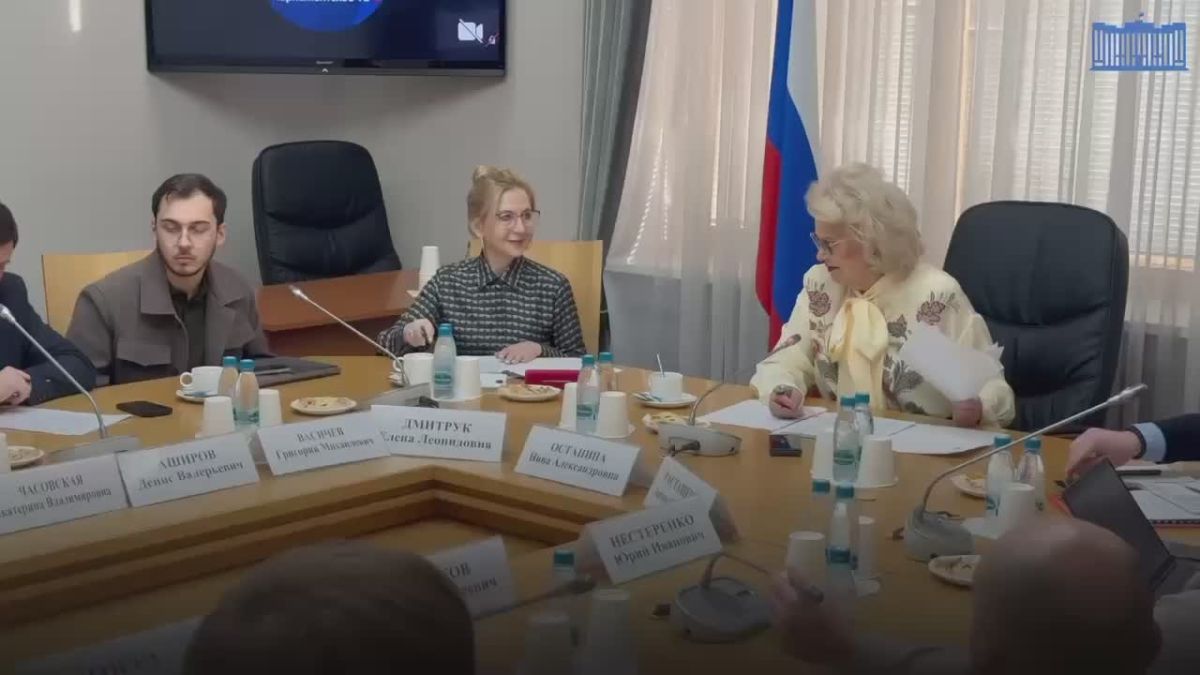 На заседании рабочей группы Экспертного совета Комитета по защите семьи обсудили безопасность цифровой среды — Елена Дмитрук