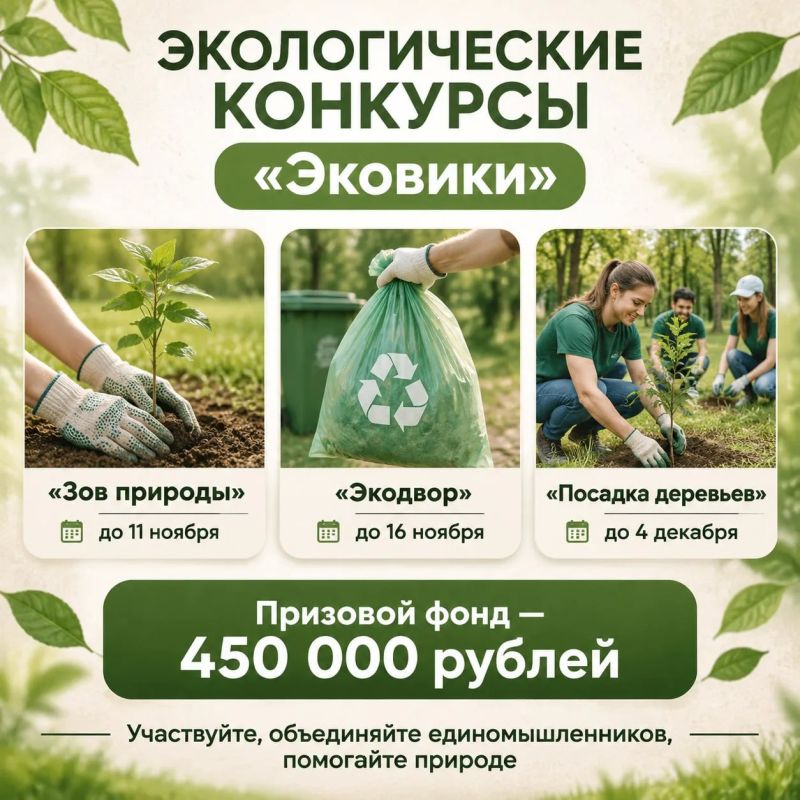 На платформе «Эковики» стартовали три экологических конкурса