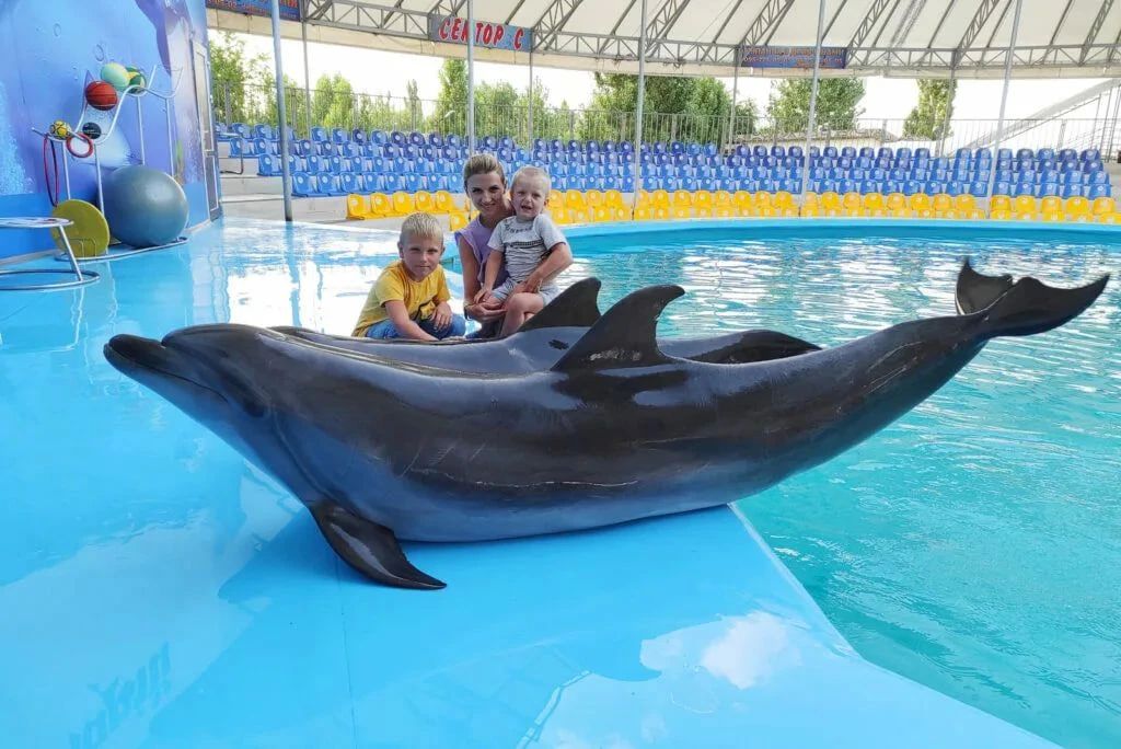 Скадовский дельфинарий готовят к официальному открытию