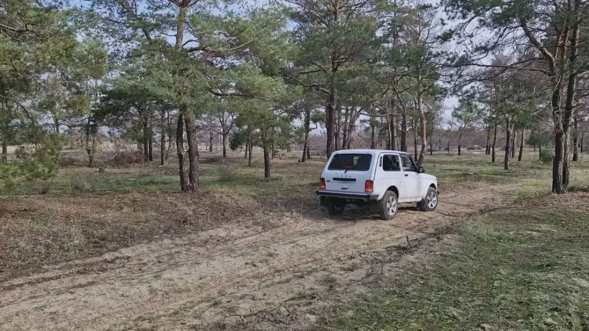 Лес под защитой: специалисты Голопристанского лесхоза регулярно патрулируют лесные массивы Лес под защитой: специалисты Голопристанского лесхоза регулярно патрулируют лесные массивы