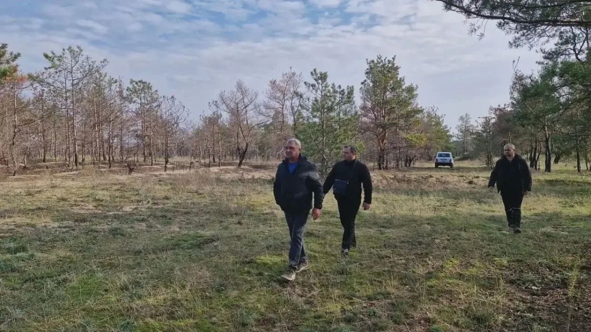Лес под защитой: специалисты Голопристанского лесхоза регулярно патрулируют лесные массивы Лес под защитой: специалисты Голопристанского лесхоза регулярно патрулируют лесные массивы
