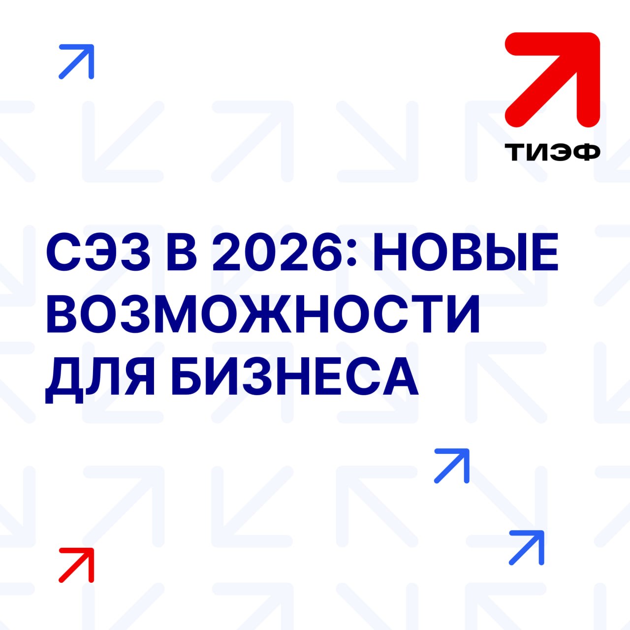 Свободная экономическая зона: какие возможности она открывает для бизнеса в 2026 году?