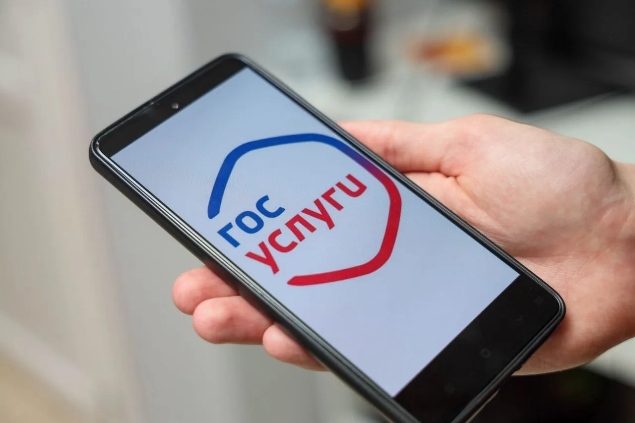 Сервис для защиты от интернет-мошенников запустили на портале "Госуслуги"