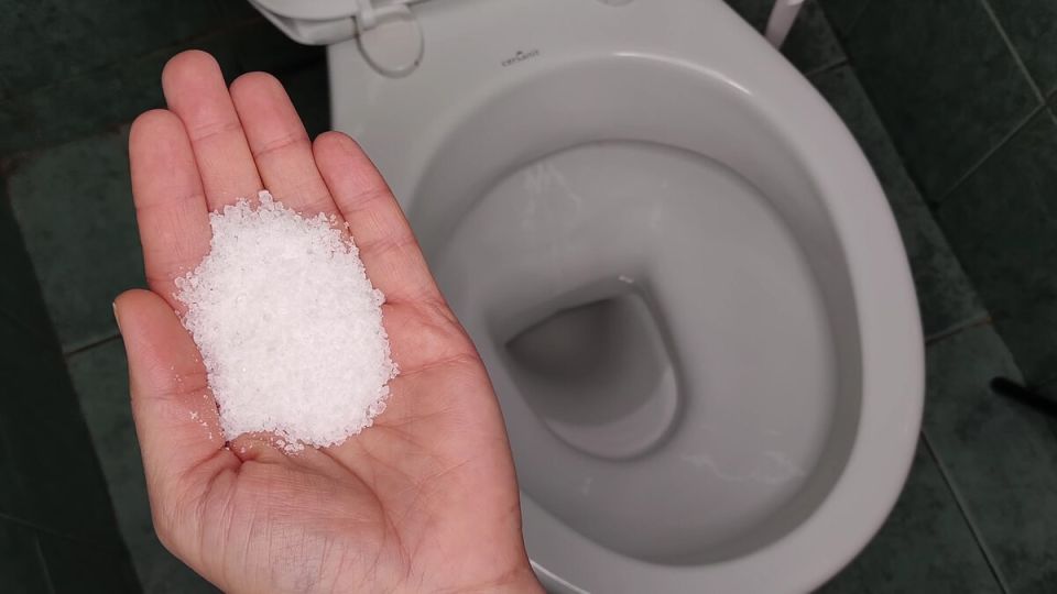 ��������� ������� ������������� ����: ��� ��� ����� �������� ���� ������